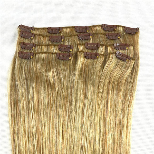 EMEDA double drawn clip in hair extensions JF002